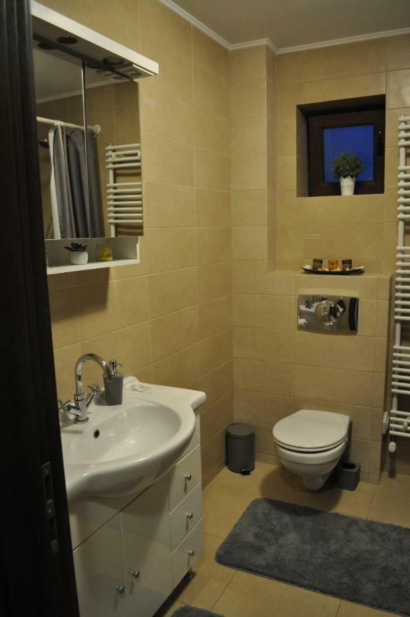 Sleep & Fly Apartment Otopeni Zewnętrze zdjęcie